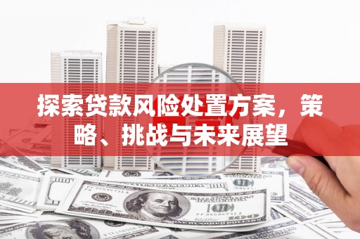 赵县探索贷款风险处置方案，策略、挑战与未来展望