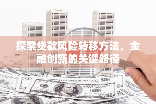 金城探索贷款风险转移方法，金融创新的关键路径
