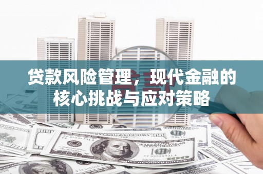索县贷款风险管理，现代金融的核心挑战与应对策略