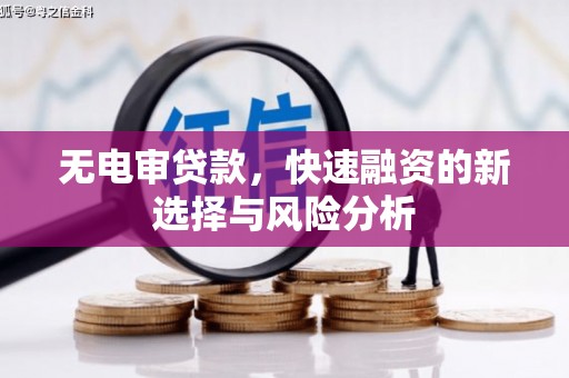 措勤无电审贷款，快速融资的新选择与风险分析