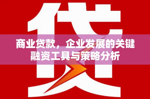 代县商业贷款，企业发展的关键融资工具与策略分析