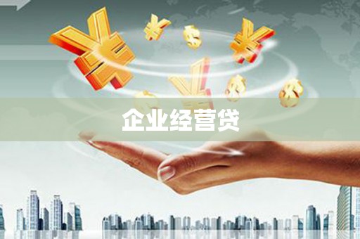 巴马企业经营贷