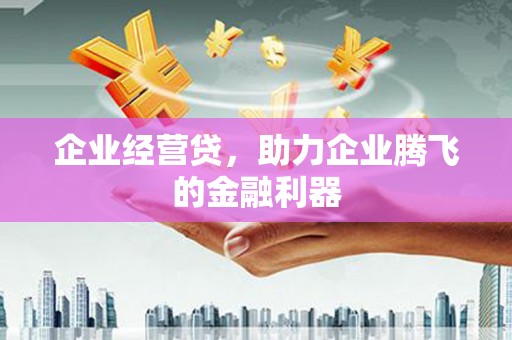 丽水企业经营贷，助力企业腾飞的金融利器