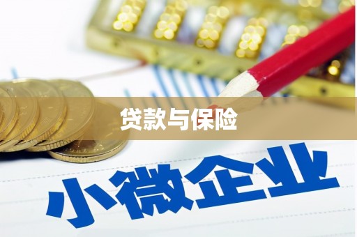 宁武贷款与保险