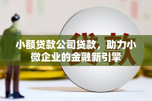安仁小额贷款公司贷款，助力小微企业的金融新引擎
