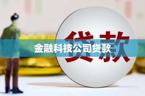镇巴金融科技公司贷款