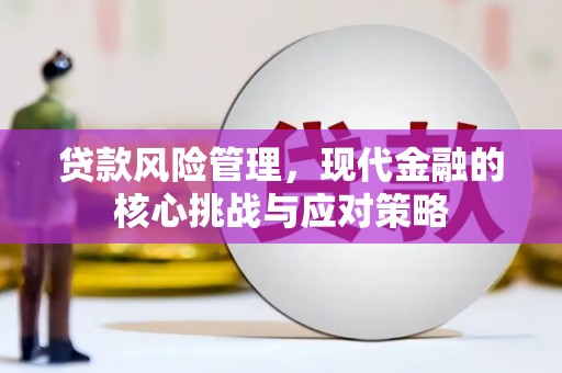 西市贷款风险管理，现代金融的核心挑战与应对策略