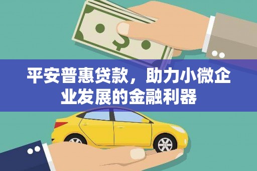 西华平安普惠贷款，助力小微企业发展的金融利器