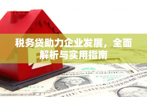 昆明税务贷助力企业发展，全面解析与实用指南