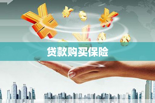 路南贷款购买保险