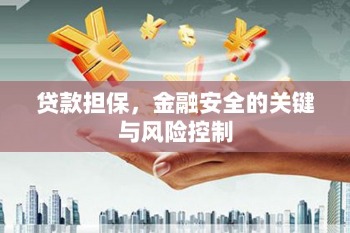 大足贷款担保，金融安全的关键与风险控制