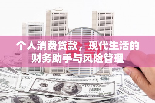 绿园个人消费贷款，现代生活的财务助手与风险管理