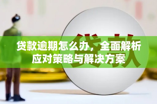 山上贷款逾期怎么办，全面解析应对策略与解决方案
