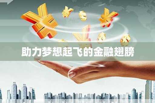 潮安助力梦想起飞的金融翅膀