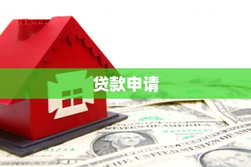 乐东贷款申请