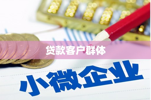 卧龙贷款客户群体