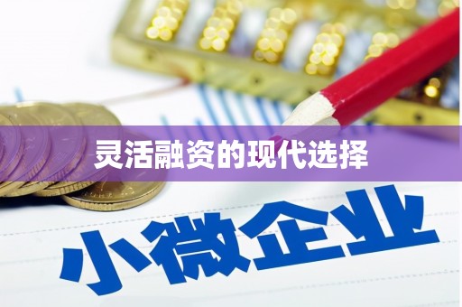 靖西灵活融资的现代选择