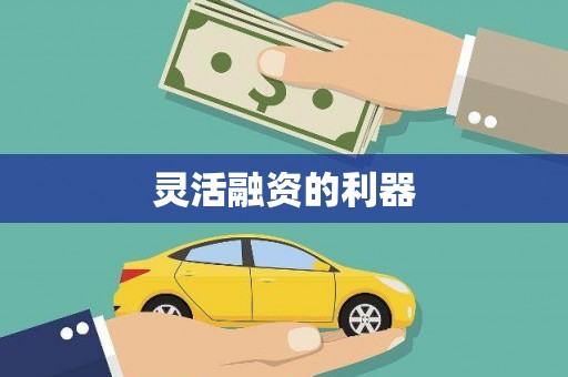 玉树灵活融资的利器