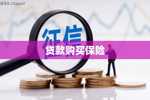 泗水贷款购买保险