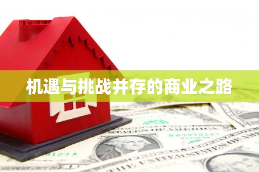 石屏机遇与挑战并存的商业之路