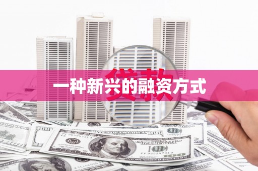 石柱一种新兴的融资方式