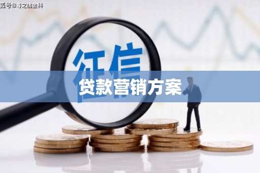 单县贷款营销方案