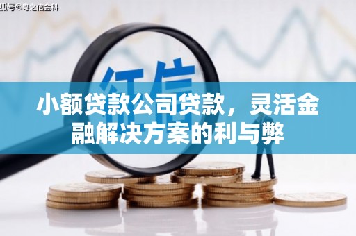 东丽小额贷款公司贷款，灵活金融解决方案的利与弊