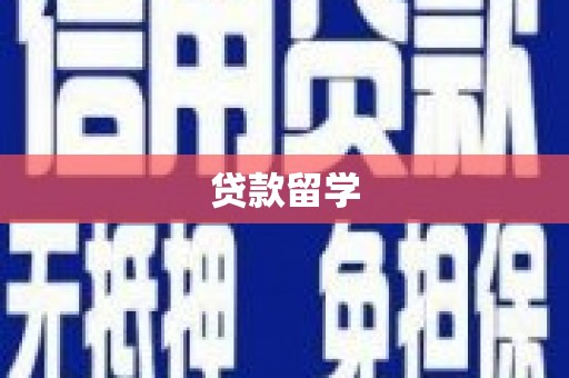舞阳贷款留学